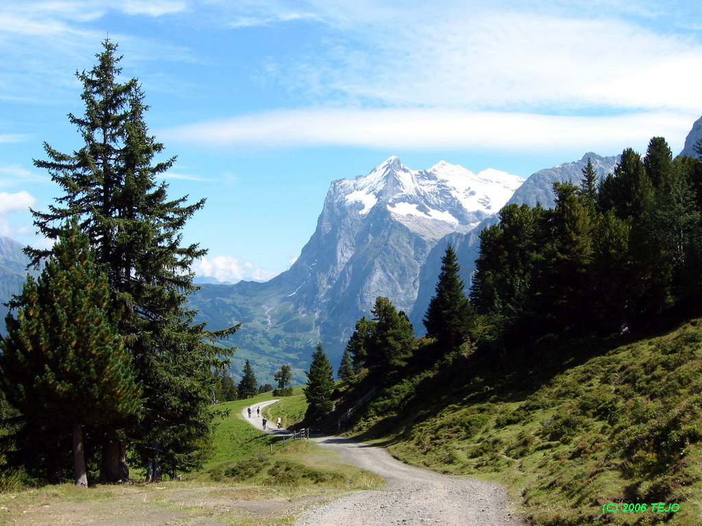 Wengen